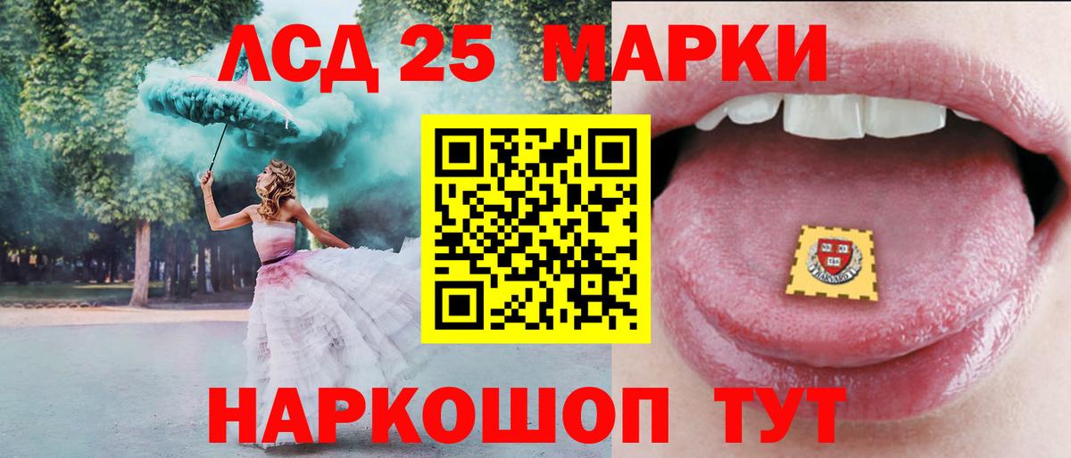 Псилоцибиновые грибы Видное